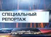 Бложьи люди. Спецрепортаж