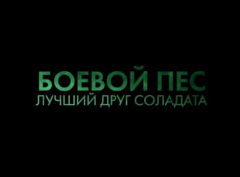 Боевой пес. Лучший друг солдата кадры