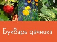 Букварь дачника кадры