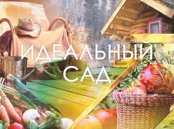 Идеальный сад кадры