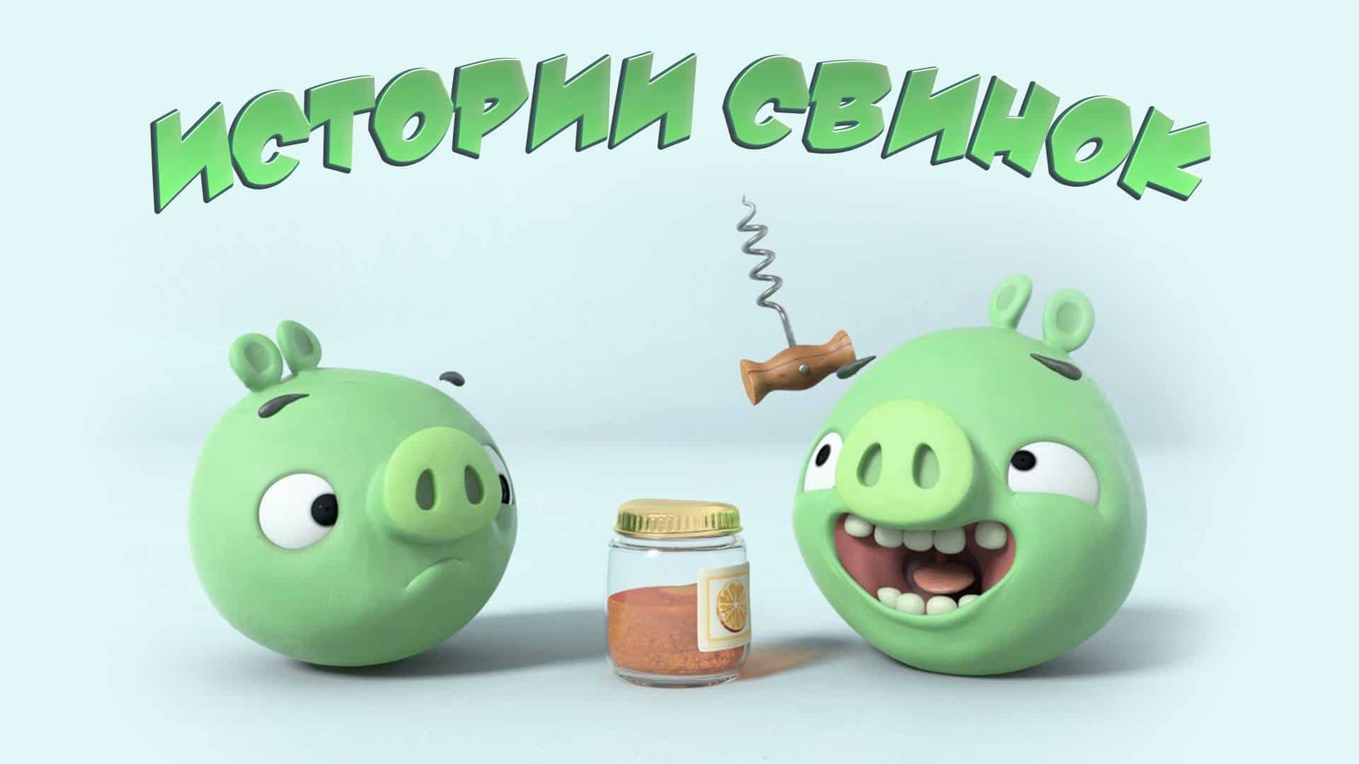 Истории свинок Кольцо для свинки