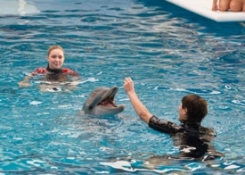История дельфина 2 кадры