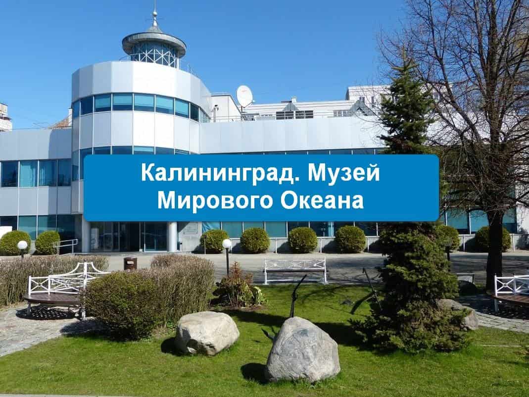 Калининград музей мирового океана