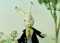 Кролик с капустного огорода кадры