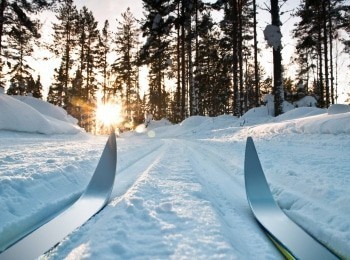 Лыжные приключения в Сибири кадры