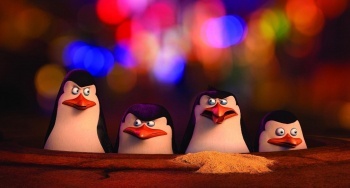 Пингвины Мадагаскара кадры