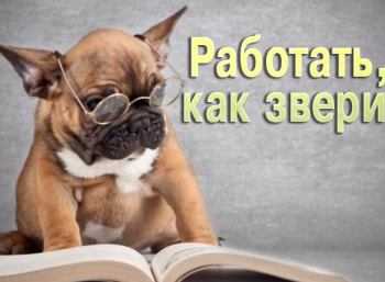 Работать, как звери кадры