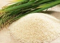 Российский рис кадры Российский рис кадры