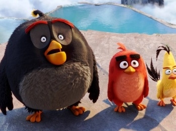 Сердитые Angry Birds кадры