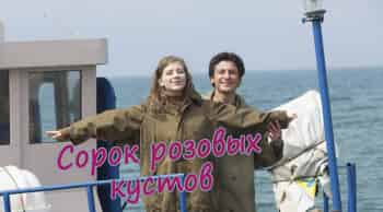 Сорок розовых кустов кадры Сорок розовых кустов кадры