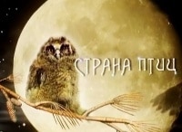 Страна птиц В поисках невидимки