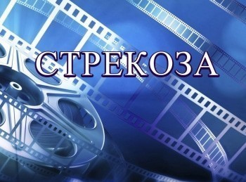 Стрекоза кадры