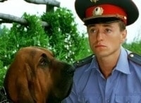 Участок 6-я - 8-я серии