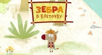 Зебра в клеточку Фотоаппарат