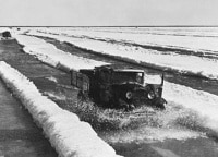Живая Ладога